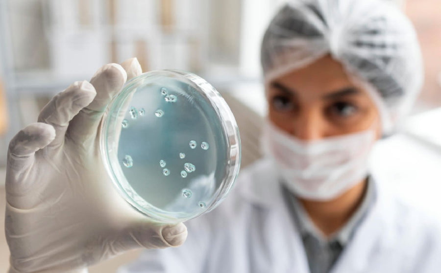 LGG®: The Most Researched Probiotic Strain Worldwide