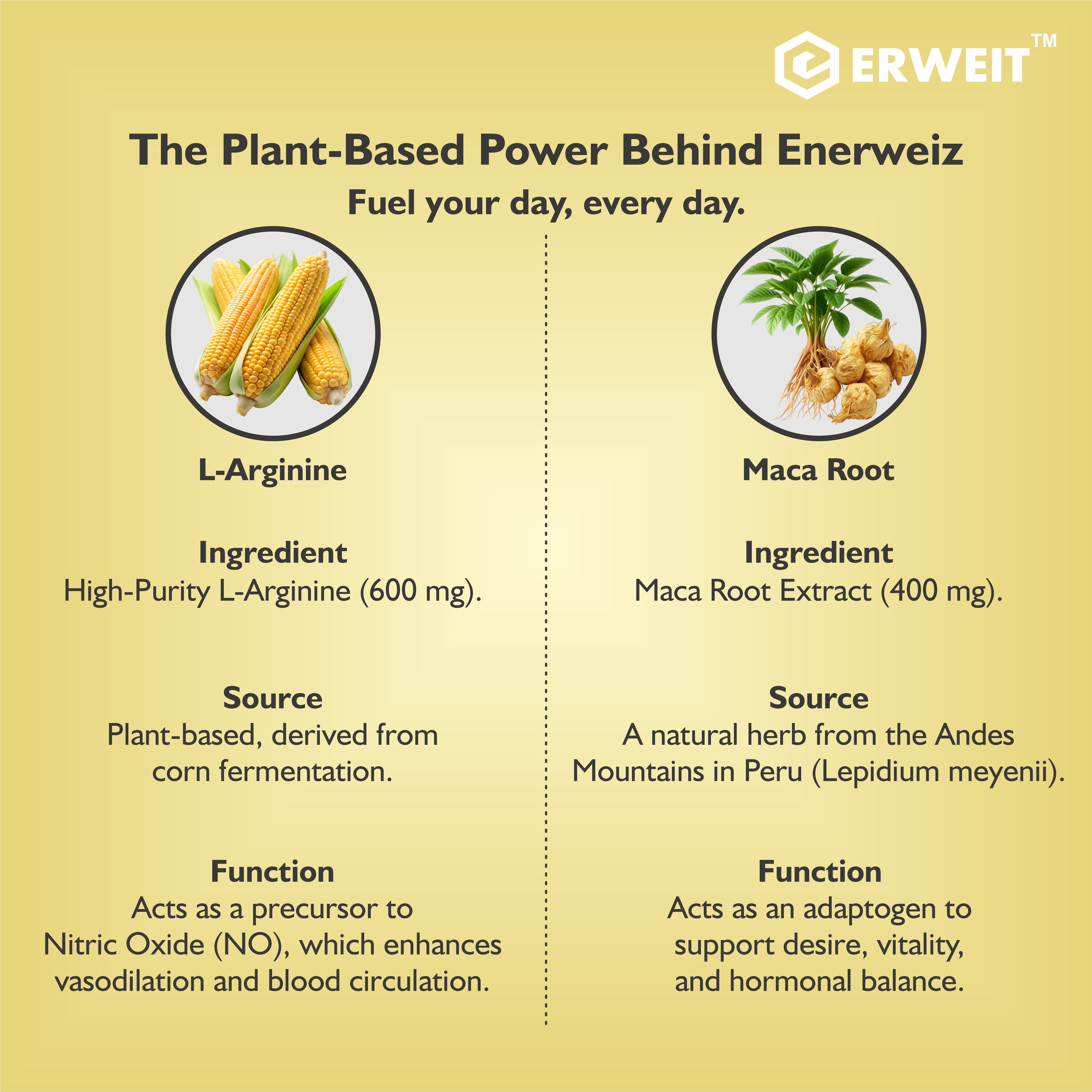 Enerweiz™ – Vital Energy & Wellness Blend