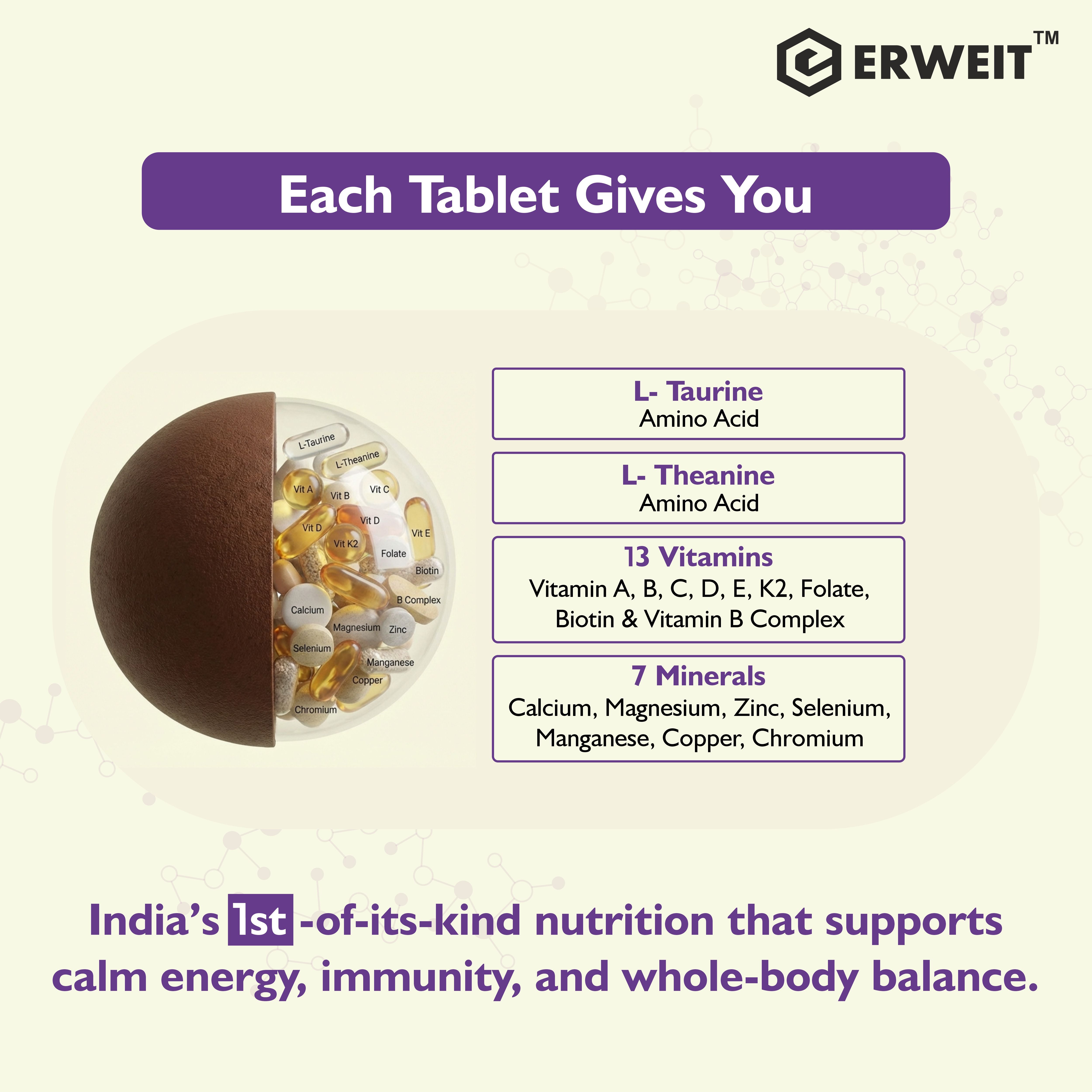 ERWEIT Immuno+ Multivitamin & Multimineral Tablets benefit infographic 2